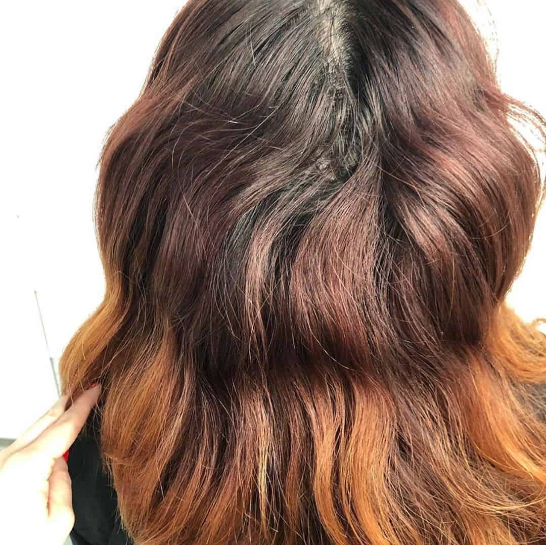 Before L'anza Color